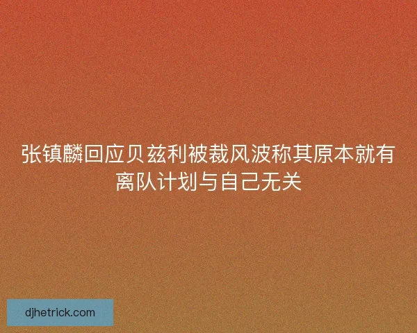 张镇麟回应贝兹利被裁风波称其原本就有离队计划与自己无关